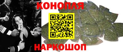 крисы Новозыбков