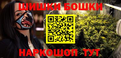 крисы Новозыбков
