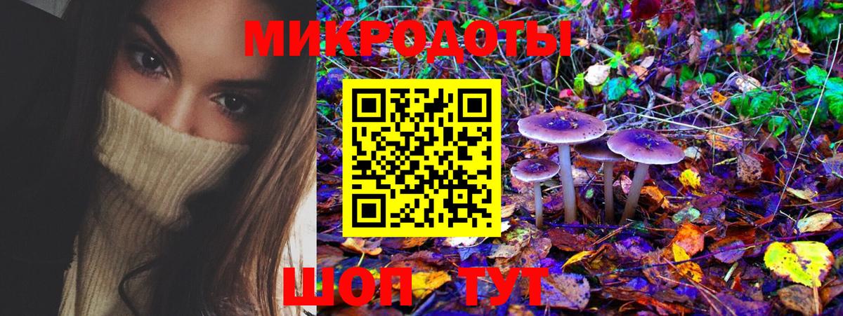 Галлюциногенные грибы прущие грибы Советская Гавань